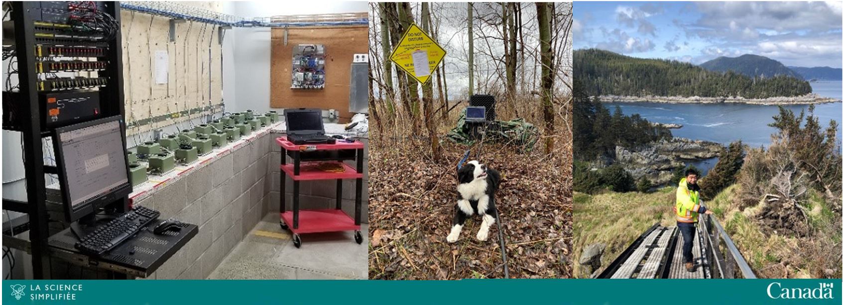 Image de compilation montrant le matériel sismique, un chien noir et blanc dans une zone forestière et un technologue debout sur un pont dans une zone côtière.